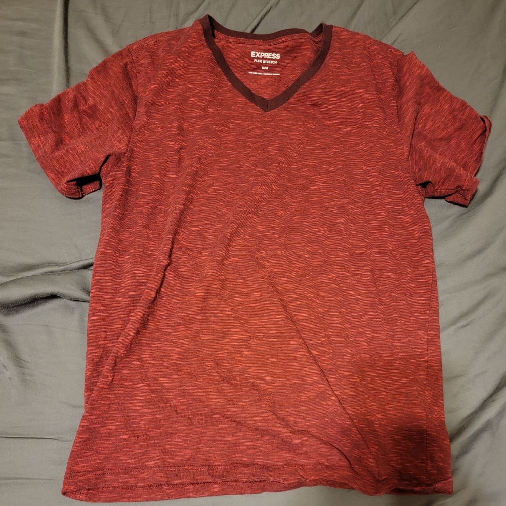 Express v-neck tshirt